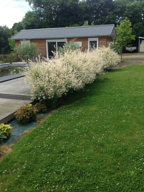 Terrein van de accommodatie