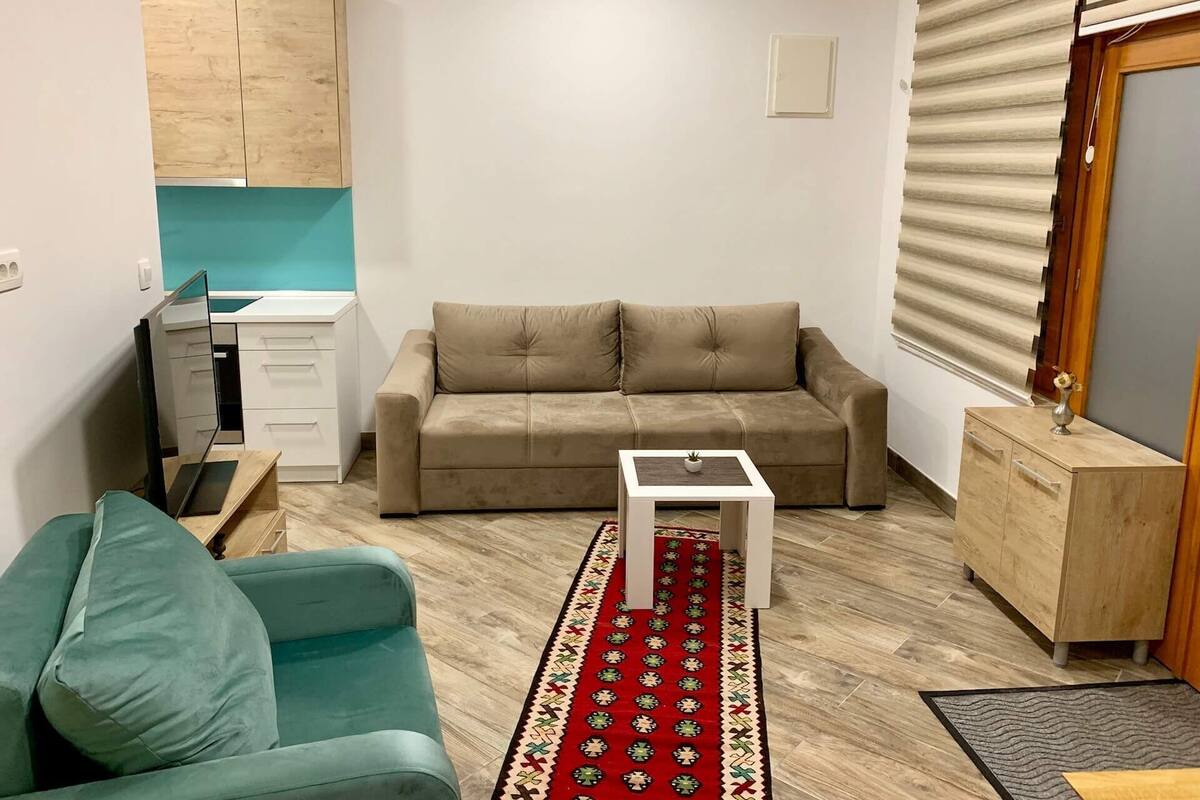 Deluxe Suite (Vrbas) | Living area