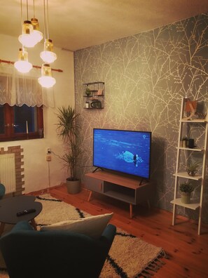 Smart TV, books - Stranded robber Strelasund in Stralsund (Stralsund)