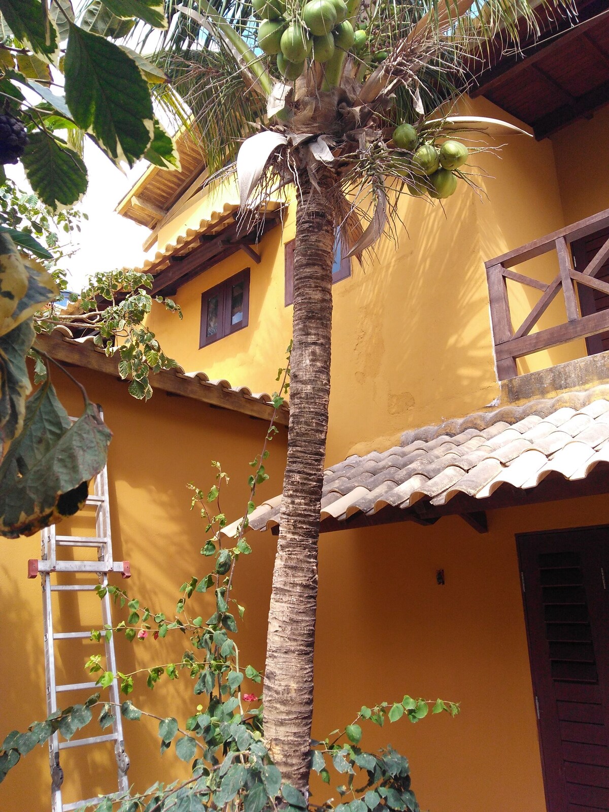 Bild für Gastgeberprofil