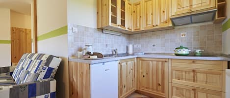 Apartment, 1 Bedroom (Zitni Klas) | Private kitchenette | Fridge, oven, stovetop, coffee/tea maker