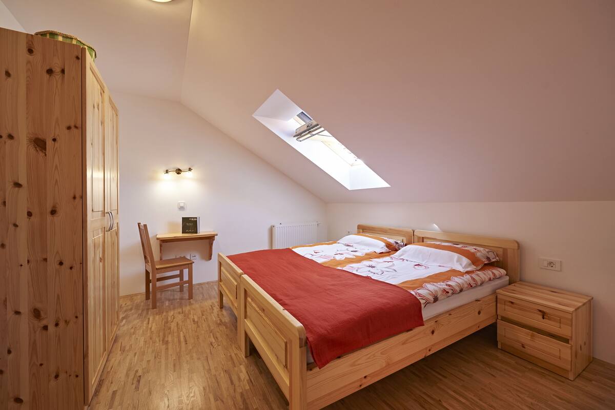 Appartamento, 1 camera da letto (Skrlatno Jabolko) | 1 camera, una cassaforte in camera, una scrivania, insonorizzazione