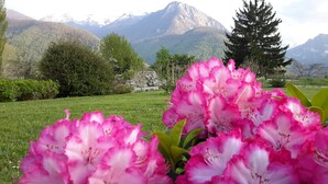 Un jardin aux fleurs roses, avec une montagne en toile de fond.