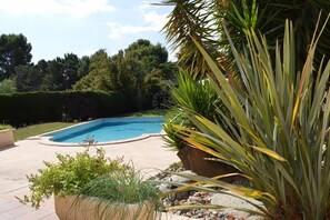 Piscina rodeada por um jardim ajardinado com diversas plantas e um caminho de pedra.