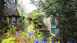 A narrow stone staircase leading to a door, surrounded by lush greenery and a small birdhouse. - Abbey Place Net Loft (Penzance)