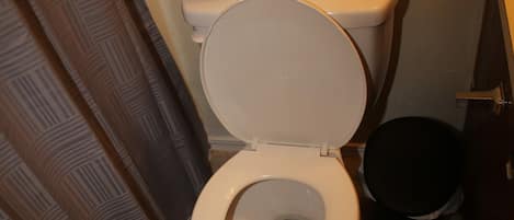 Een toilet met een witte zitting en deksel, een zwarte prullenbak en een rol toiletpapier op de tank.