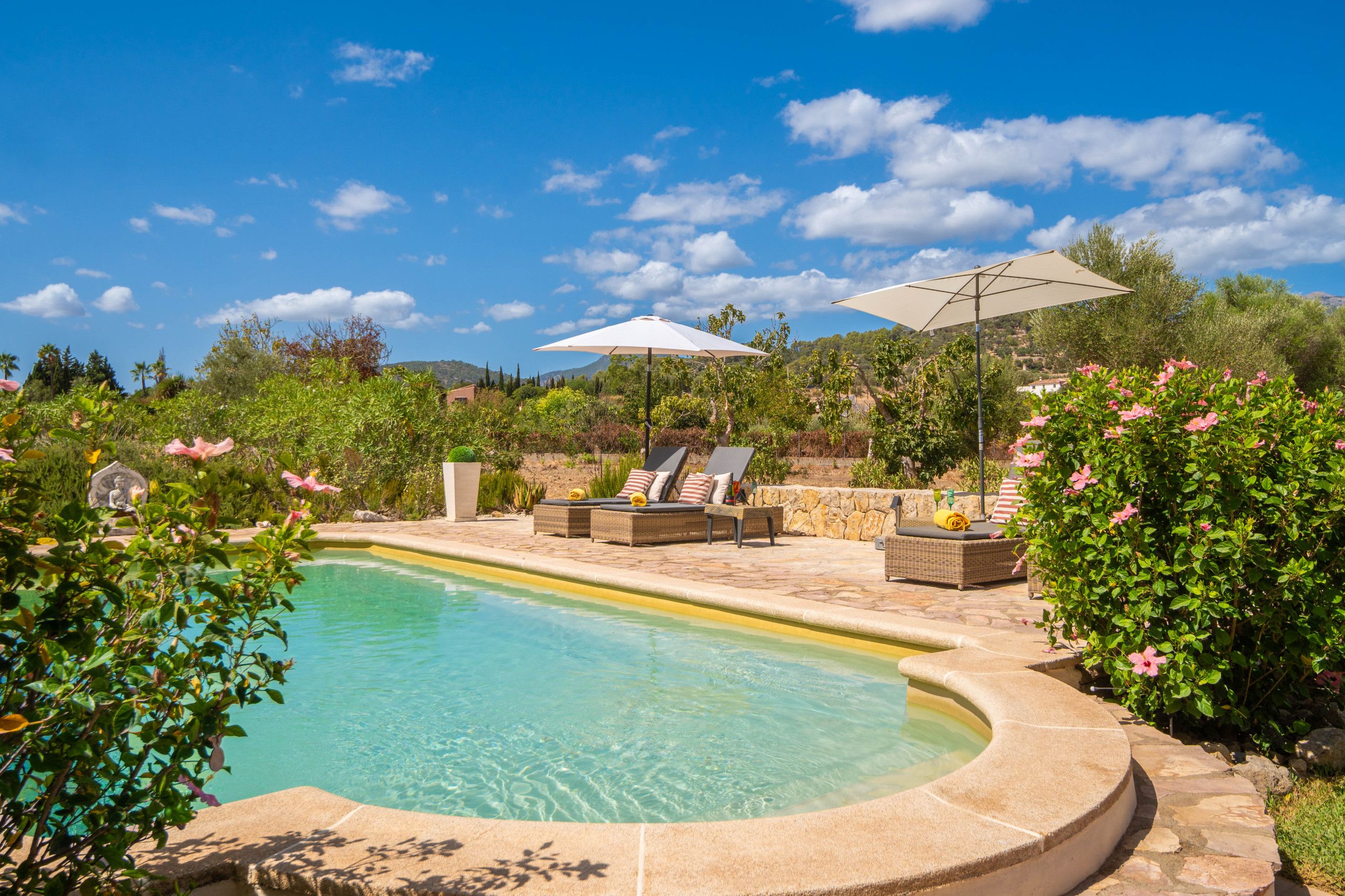 A swimming pool with lounge chairs and umbrellas, surrounded by greenery and hills.
