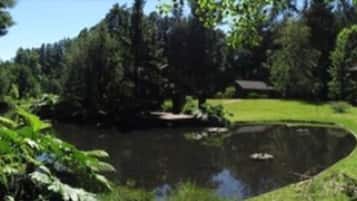 Superior House | Garden view