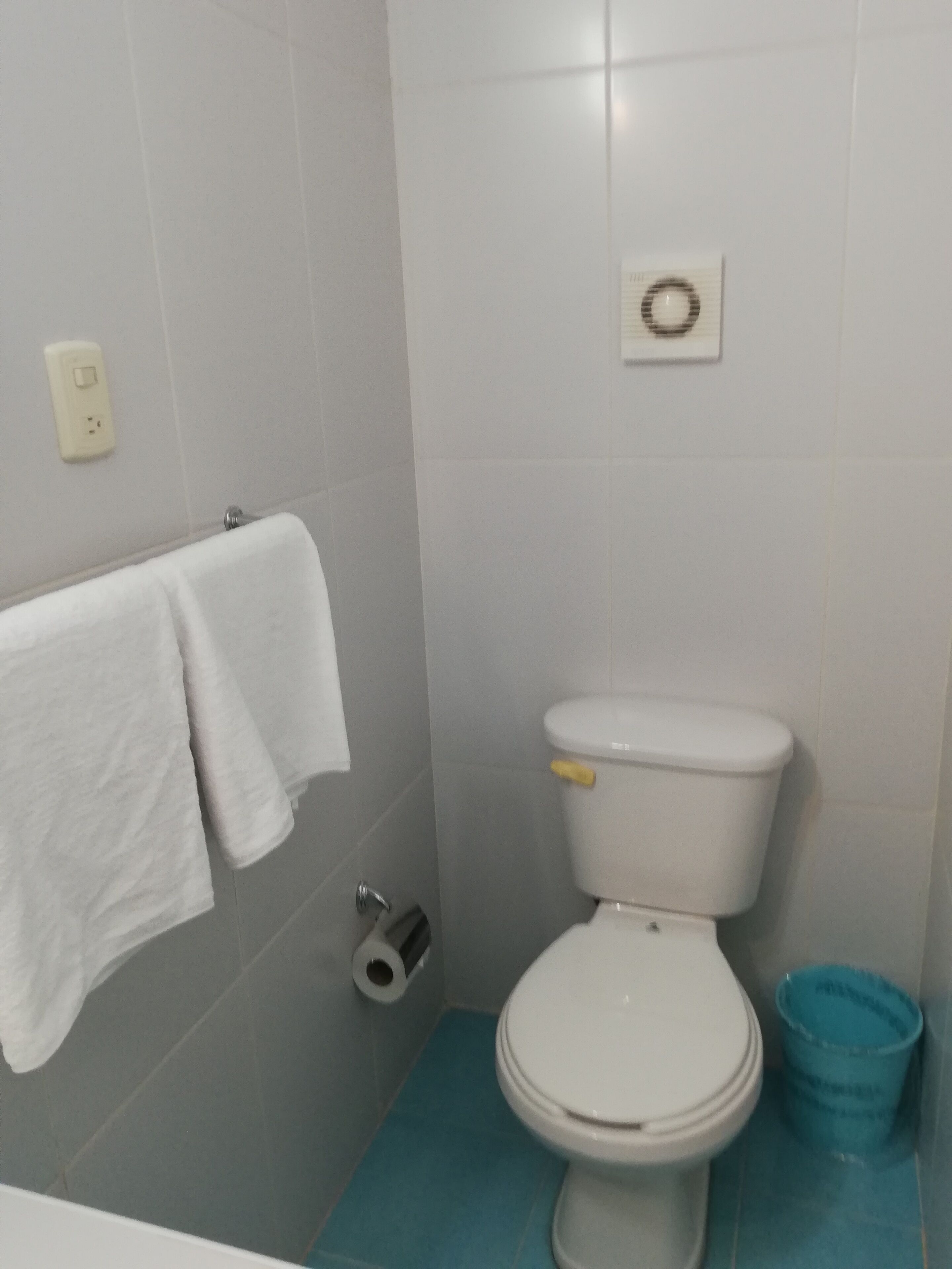 A bathroom with a toilet, a blue mat, a white towel, and a trash bin.