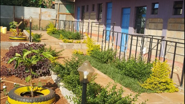A building with a purple exterior and blue doors, surrounded by a garden with various plants and a tire planter.