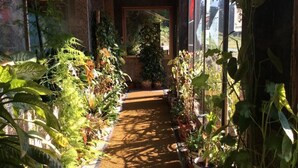 A narrow indoor pathway lined with potted plants leading to a door. - Hotel Internacional (O Porrino)