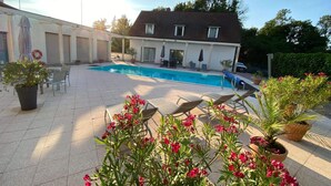 A residential backyard with a swimming pool, lounge chairs, and potted plants.