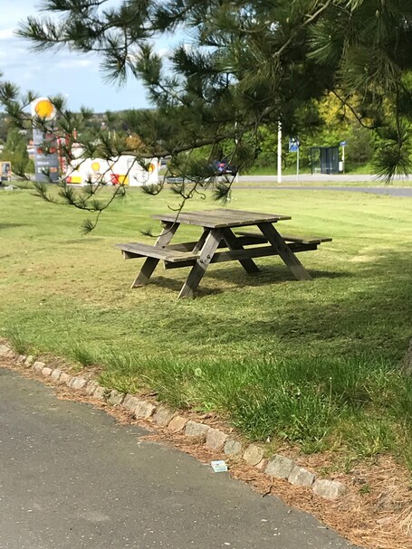 Área de parrillas y picnic