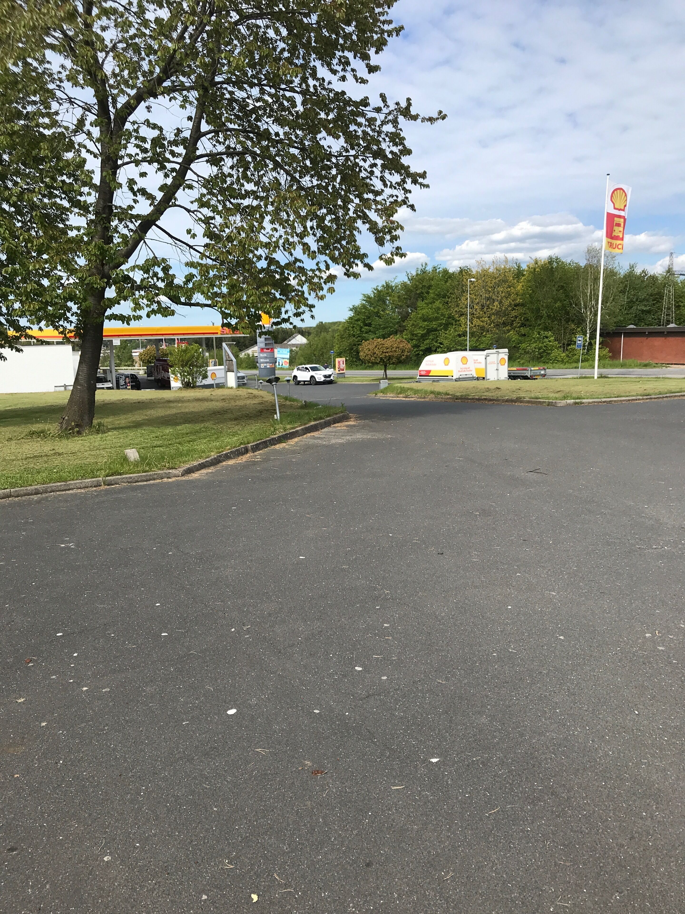 A parking lot with a Shell gas station in the background, a tree, and a Shell service station sign.