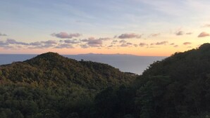 Un paysage boisé, avec des collines et une vue lointaine sur la mer.