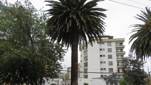 A multi-story building with a white facade, surrounded by trees and a palm tree. - Suite location and comfort in Quito Hi speed wifi (Quito)