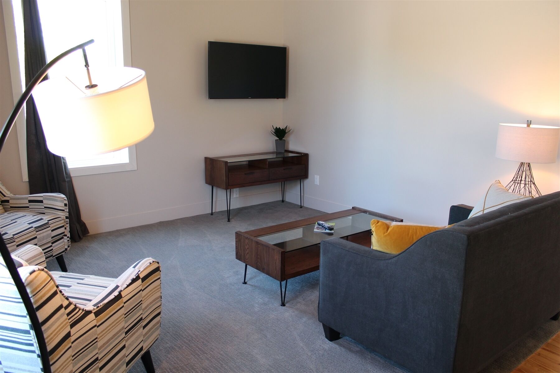 Ett vardagsrum med en soffa, ett soffbord, en tv, en lampa och en växt.