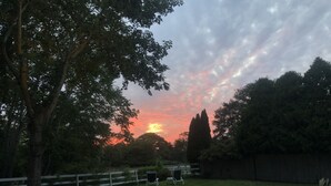 A backyard with a lawn, a white fence, and a tall tree. - Walking distance to East Hampton village  (East Hampton)
