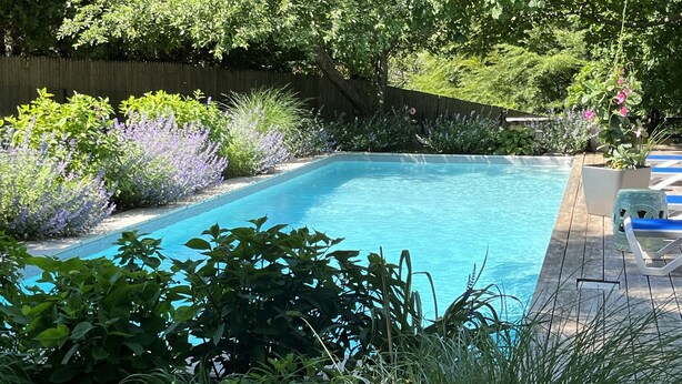 A rectangular swimming pool surrounded by lush greenery and a wooden deck. - Walking distance to East Hampton village  (East Hampton)