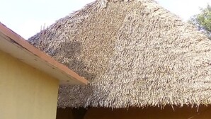 A thatched-roof building with a simple, open doorway and a small porch area. - Camp David (Makindu)