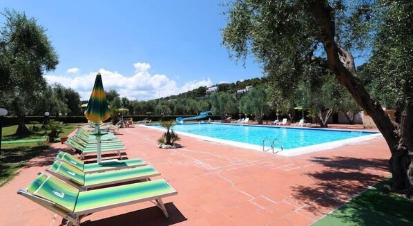 Seasonal outdoor pool, pool umbrellas, pool loungers