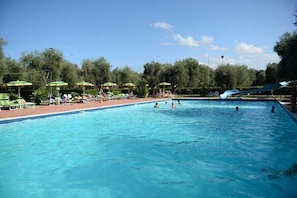 Seasonal outdoor pool, pool umbrellas, pool loungers