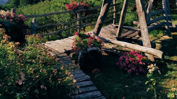 Exterior - Agriturismo Castagneti (San Benedetto Val di Sambro)