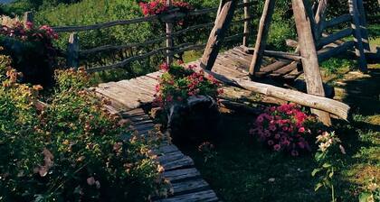 Agriturismo Castagneti