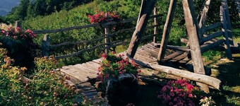 Agriturismo Castagneti