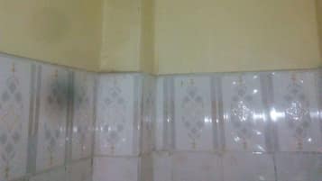 Ducha, toallas, papel higiénico