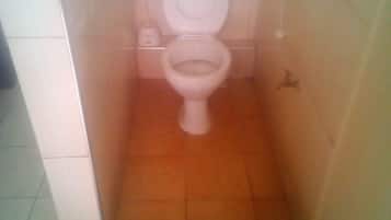Un baño pequeño con inodoro, bidé y ducha.