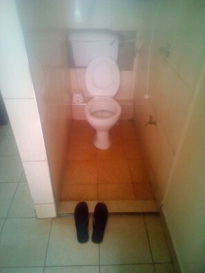 Un baño pequeño con inodoro, bidé y ducha.