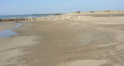 VILLA EN CAMARGUE, A 6KM DES PLAGES DE SABLE FIN , PISCINE HORS SOL et BAR