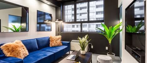 TV, Netflix, streaming services