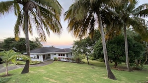Een huis met gazon en palmbomen.