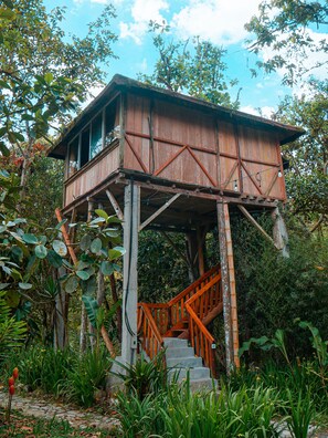 Deluxe Tree House, 1 King Bed