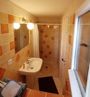 Shower, hair dryer, soap, toilet paper