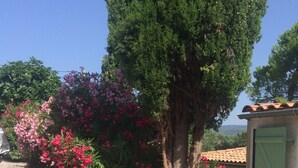 Un patio empedrado con un árbol y arbustos florecientes.