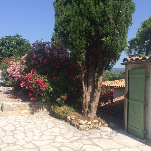 A stone-paved courtyard with a tree and flowering shrubs.