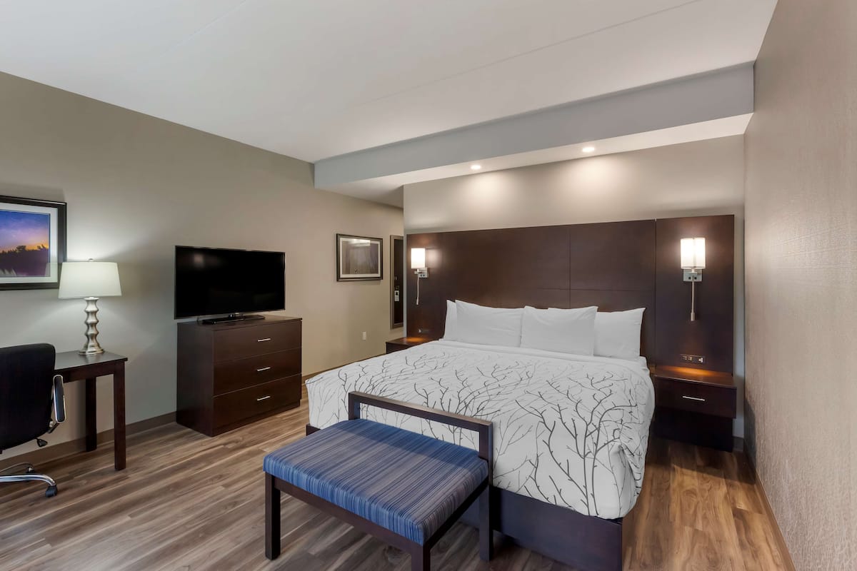 Standard Room, 1 King Bed, Non Smoking, Refrigerator & Microwave (Larger Room) | 1 bedroom, Egyptian cotton sheets, premium bedding, pillowtop beds