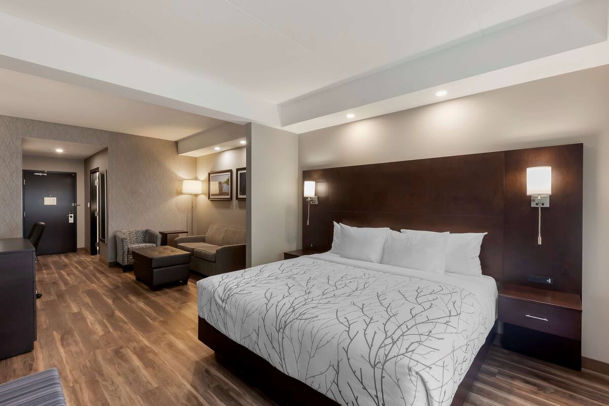 A modern hotel room with a large bed, a desk, a chair, and a sofa.