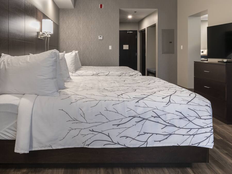 Quarto de hotel com uma cama grande, cômoda, TV e porta para um banheiro.
