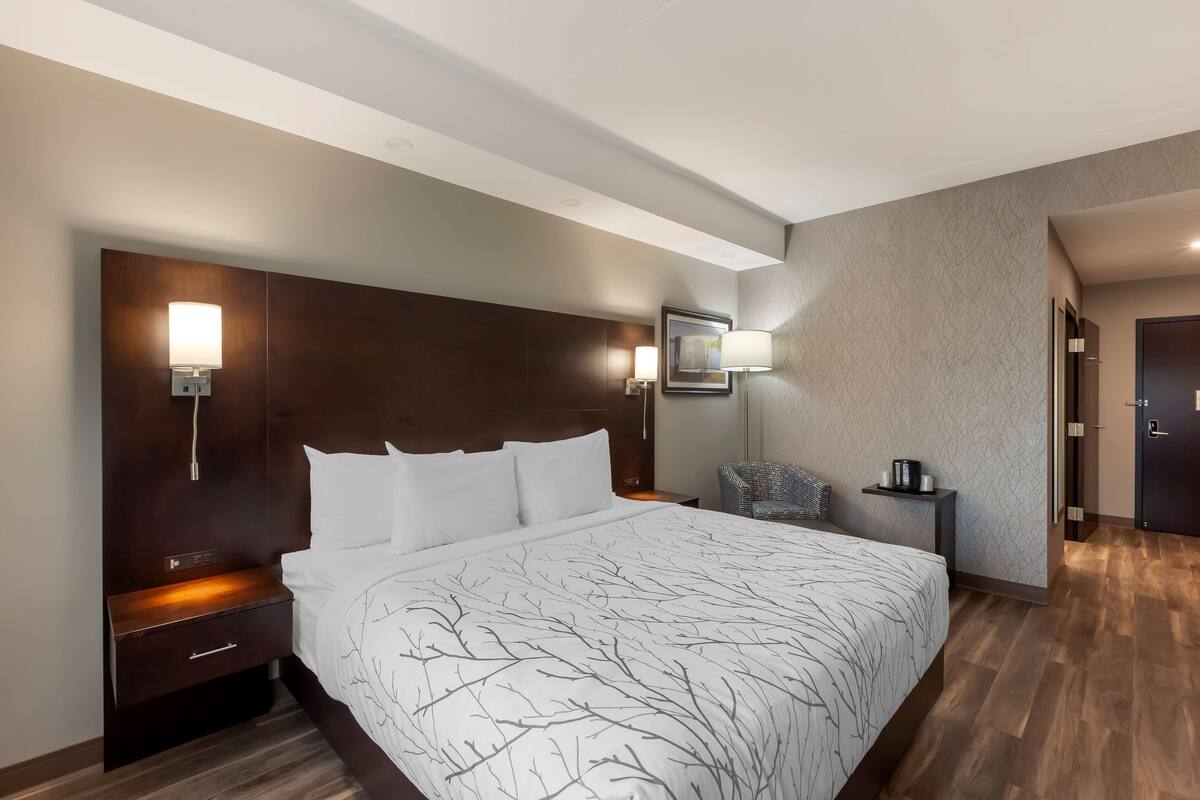 A modern hotel room with a large bed, a nightstand, a chair, and a door.