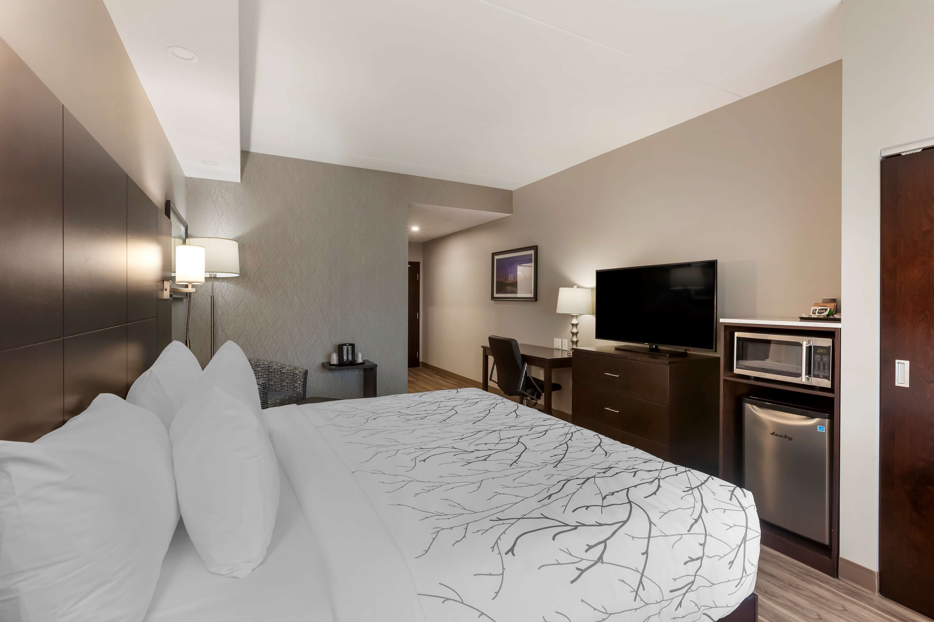 A hotel room with a bed, a desk, a television, a microwave, and a refrigerator.