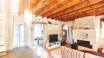 TV, fireplace, video games, DVD player