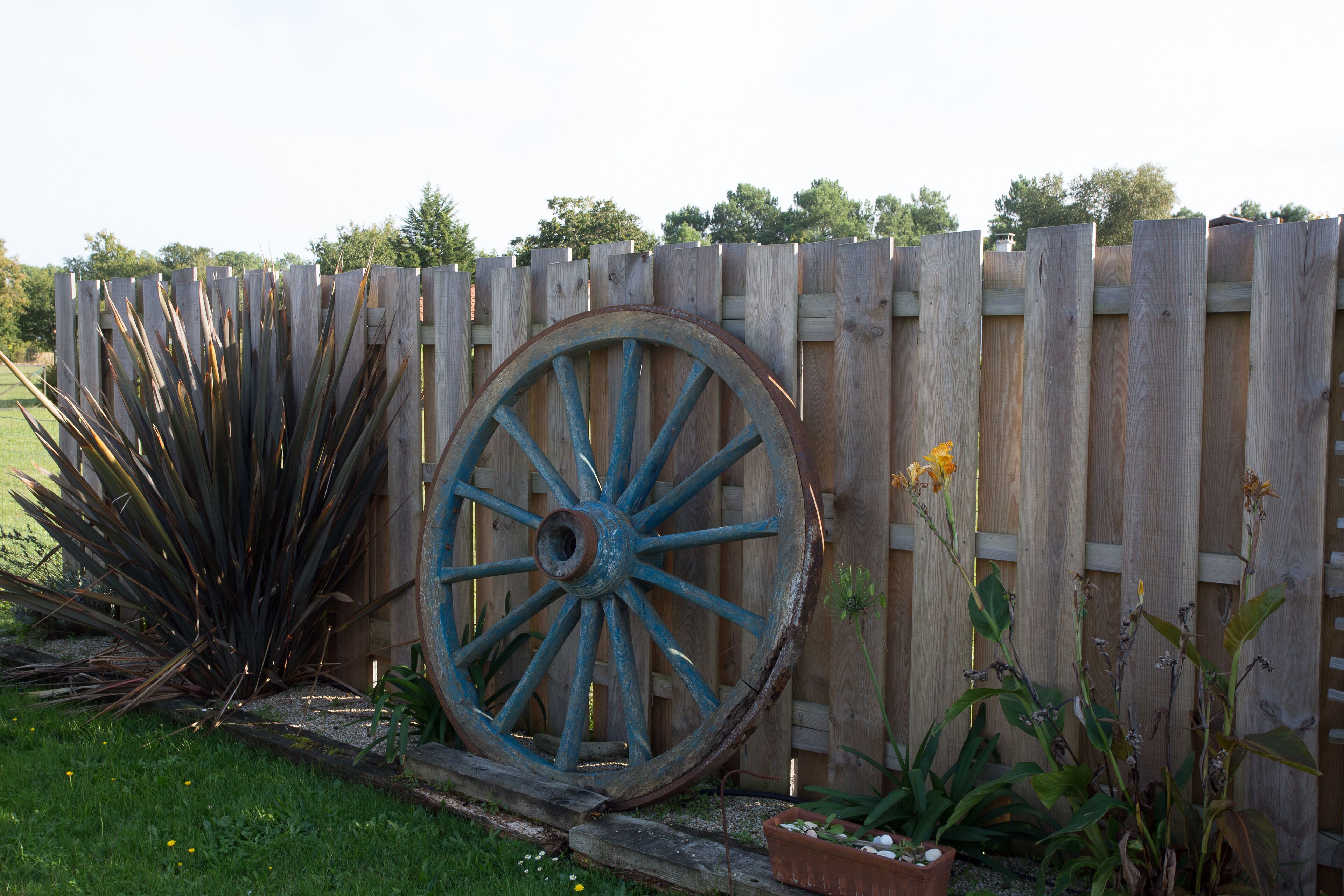 Une clôture en bois avec une grande roue bleue et diverses plantes.