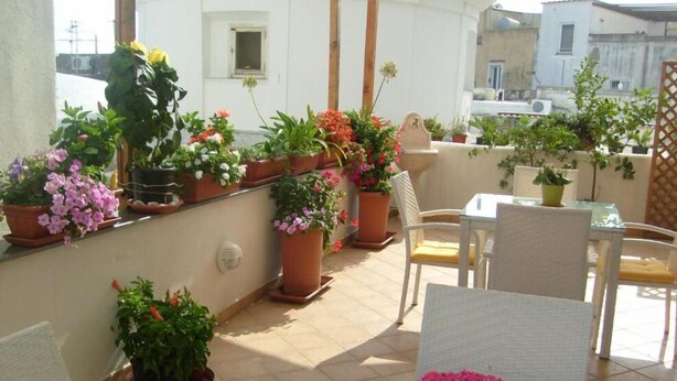 Um terraço com plantas em vasos e mobiliário de exterior.