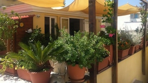Un espacio al aire libre cubierto con plantas en macetas y una estructura de pérgola de madera.