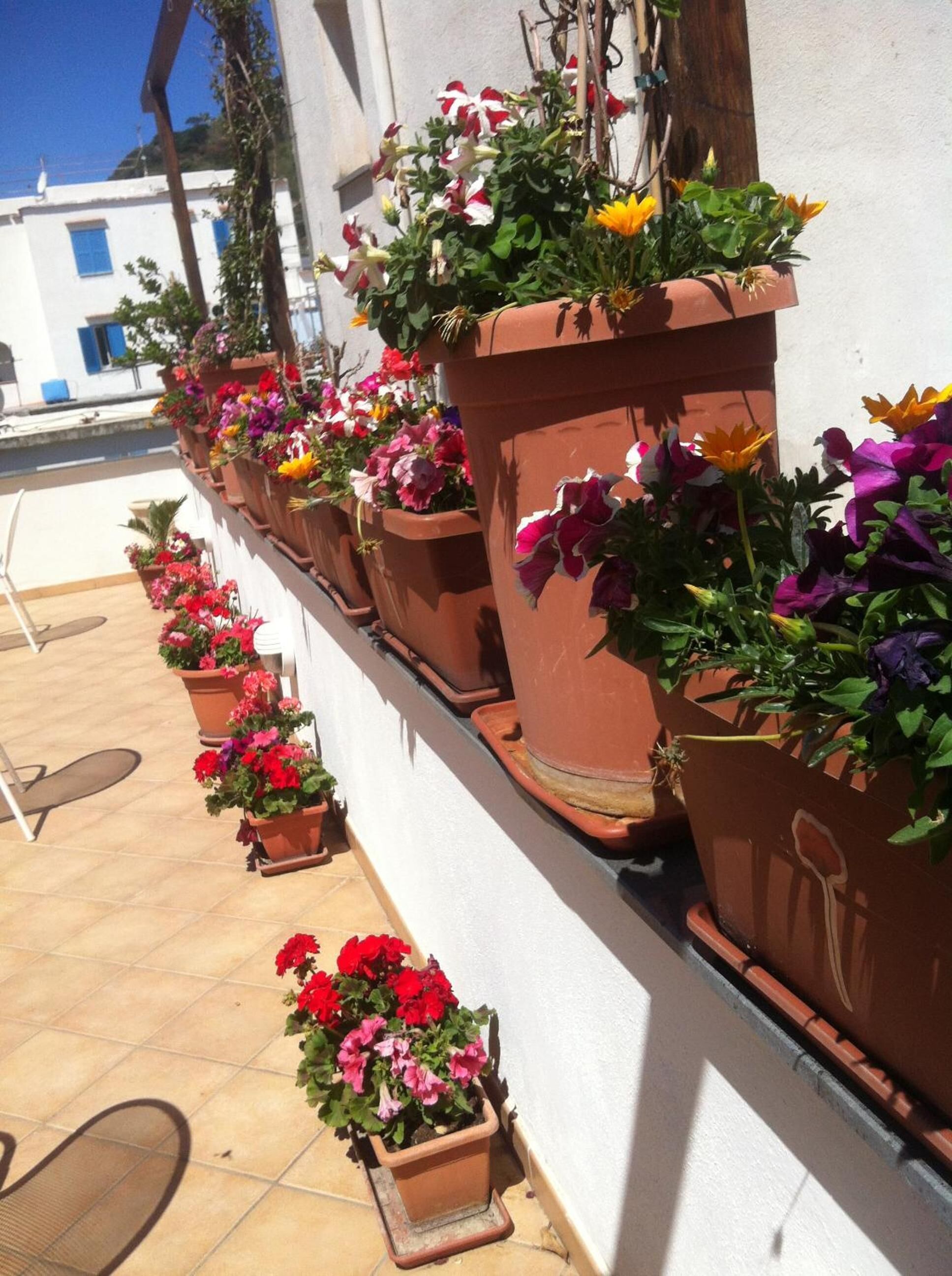 Photo - B&B Celestina Ischia