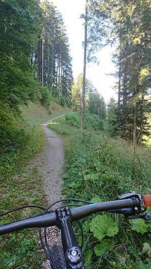 Bicycling - Hotel da Marco (Vigo di Cadore)